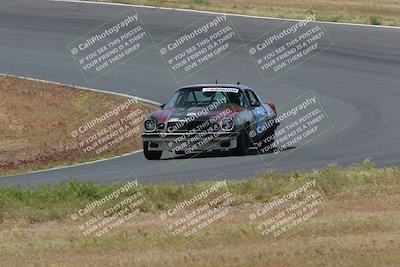 media/May-04-2024-Lucky Dog Racing (Sat) [[d39539b3f3]]/Race Pics/1015am (Turn 2)/